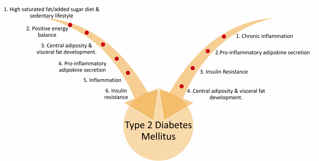 Alternate pathways to Type 2 Diabetes